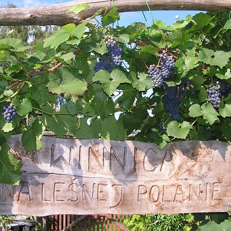 Winnica Na Lesnej Polanie Zabor Luaran gambar