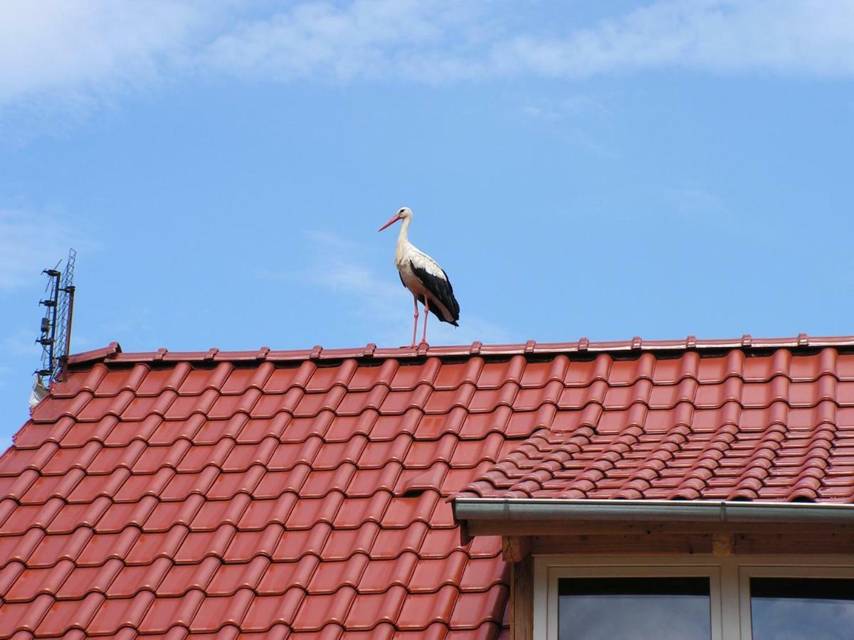 Winnica Na Lesnej Polanie Zabor Luaran gambar